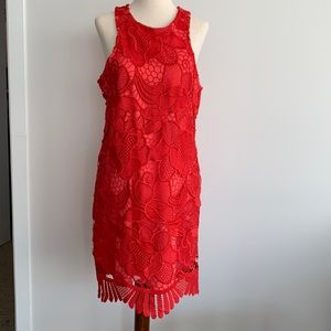 Lovers + Friends dress